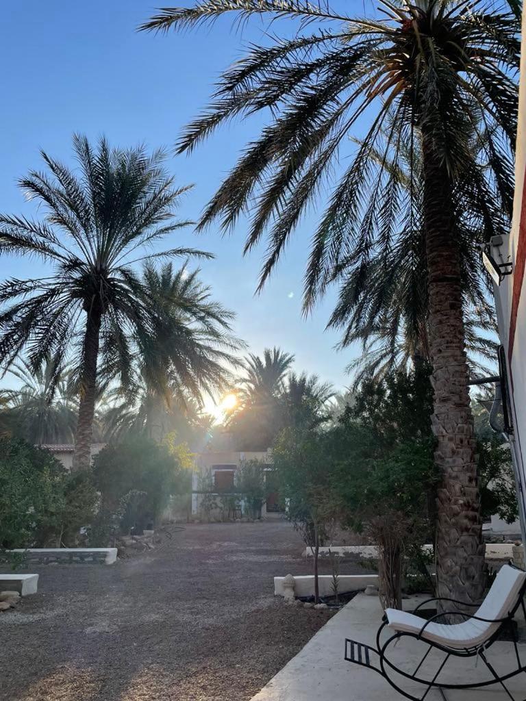 Dar Barka Hotell Kebili Exteriör bild