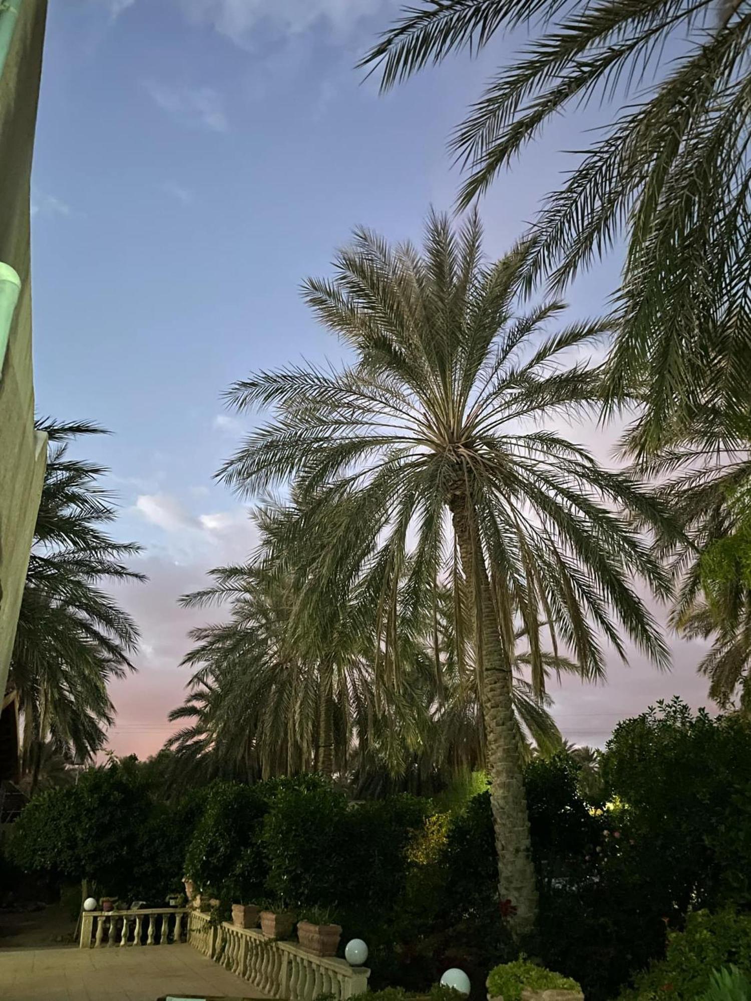 Dar Barka Hotell Kebili Exteriör bild