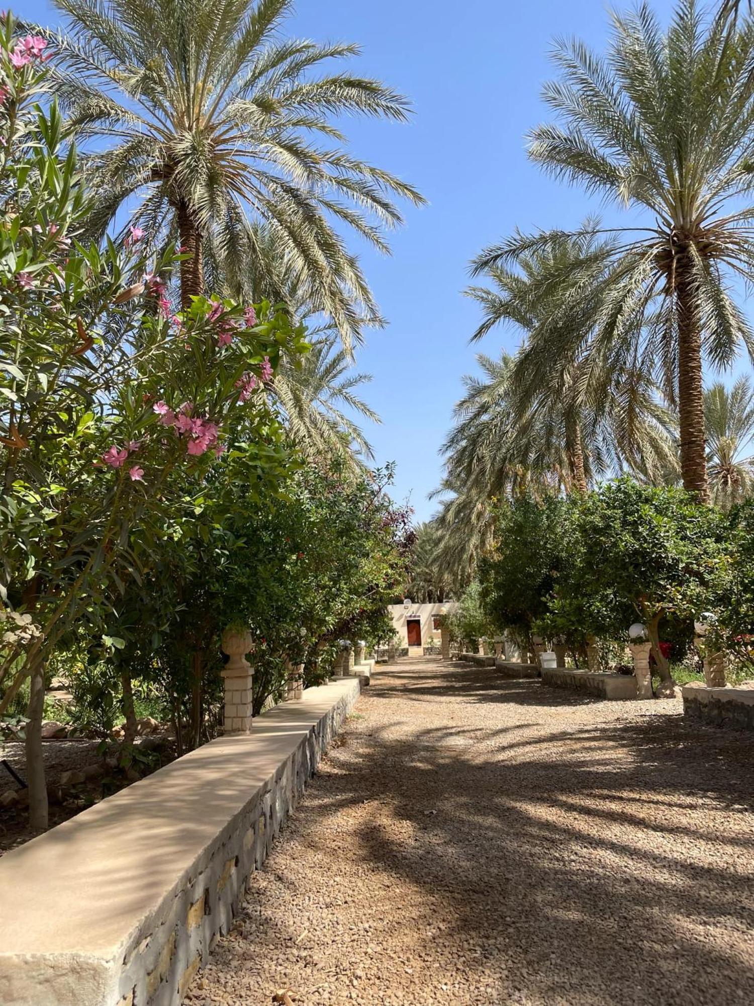 Dar Barka Hotell Kebili Exteriör bild