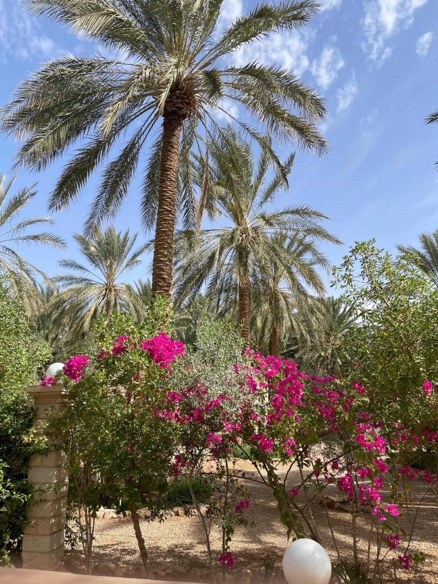 Dar Barka Hotell Kebili Exteriör bild