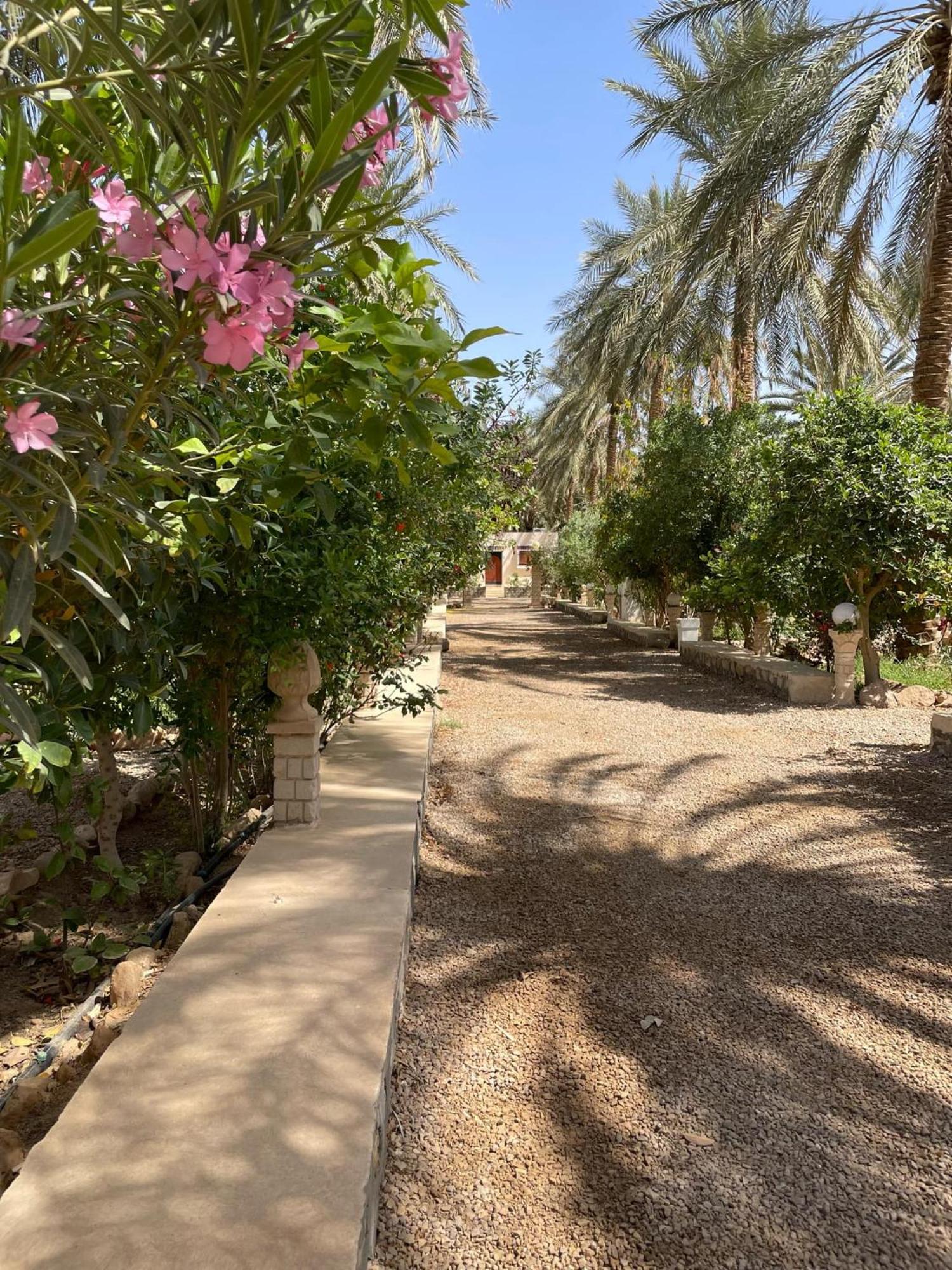 Dar Barka Hotell Kebili Exteriör bild