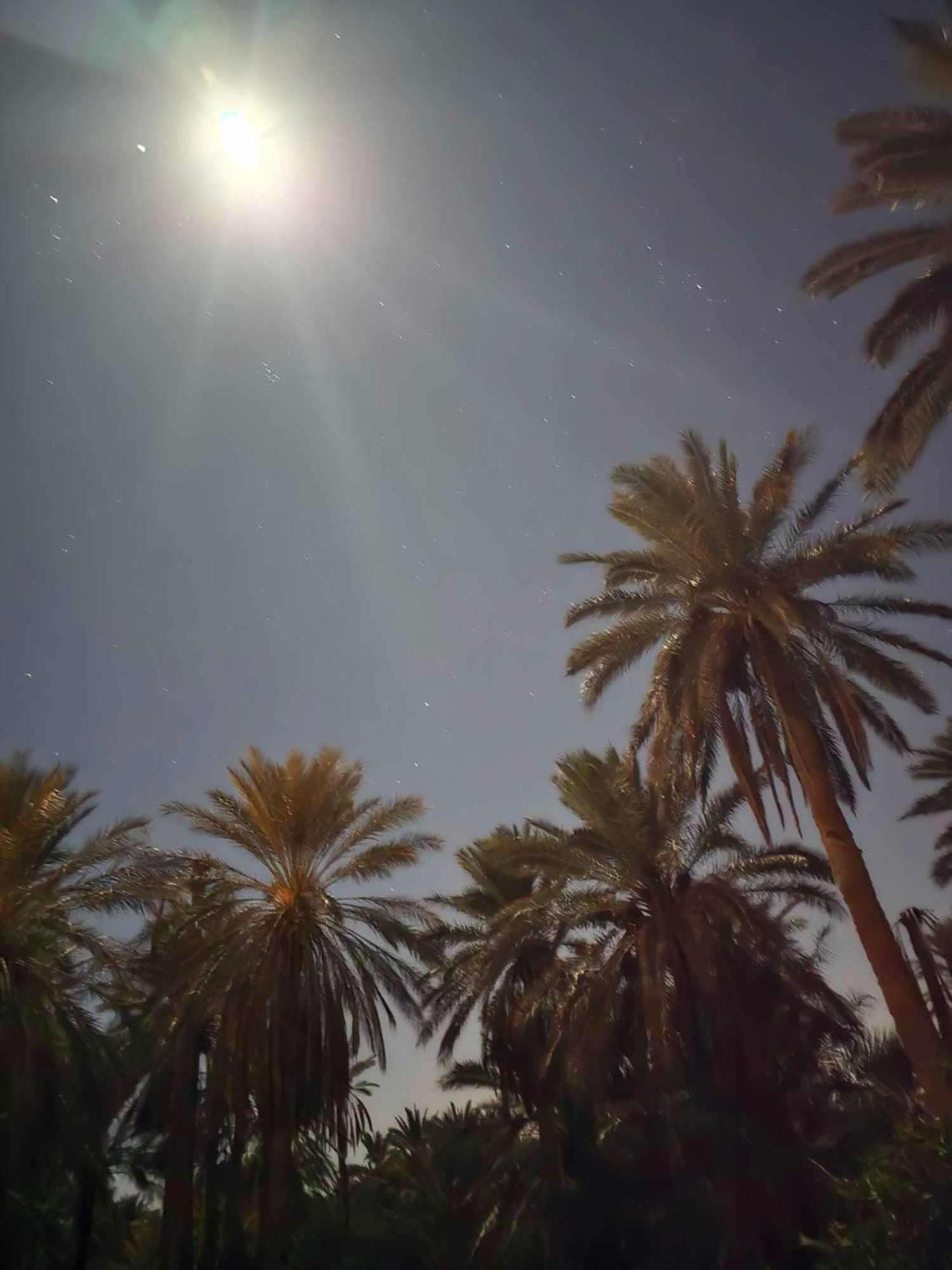 Dar Barka Hotell Kebili Exteriör bild